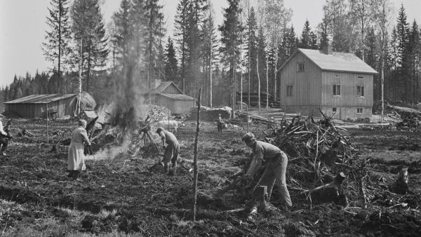 Pellonraivausta Mäntsälässä 1949. (Kuva: Pekka Kyytinen, Museovirasto)