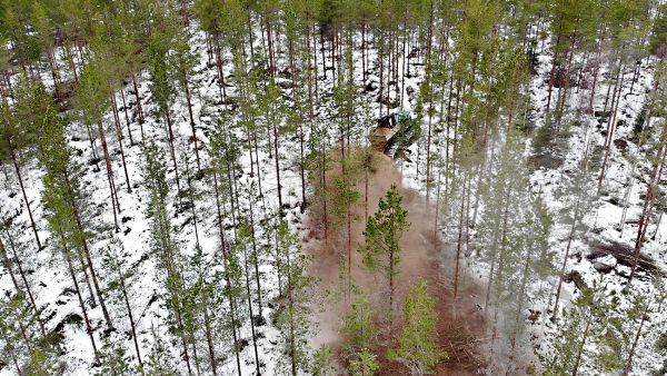 Hiilikauppa voi Marko Mäki-Hakolan mukaan auttaa metsänomistajaa investoimaan lannoitukseen. (Kuvaaja: Sami Karppinen)