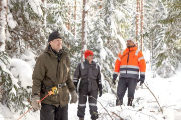 Arvometsän metsäasiantuntija Pekka Lehmonen (vasemmalla) ja toimitusjohtaja Aleksi Vihonen (oikealla) esittelivät yläharvennusta emeritusprofessori Kari Mielikäiselle. (Kuvaaja: MIKKO RIIKILÄ)