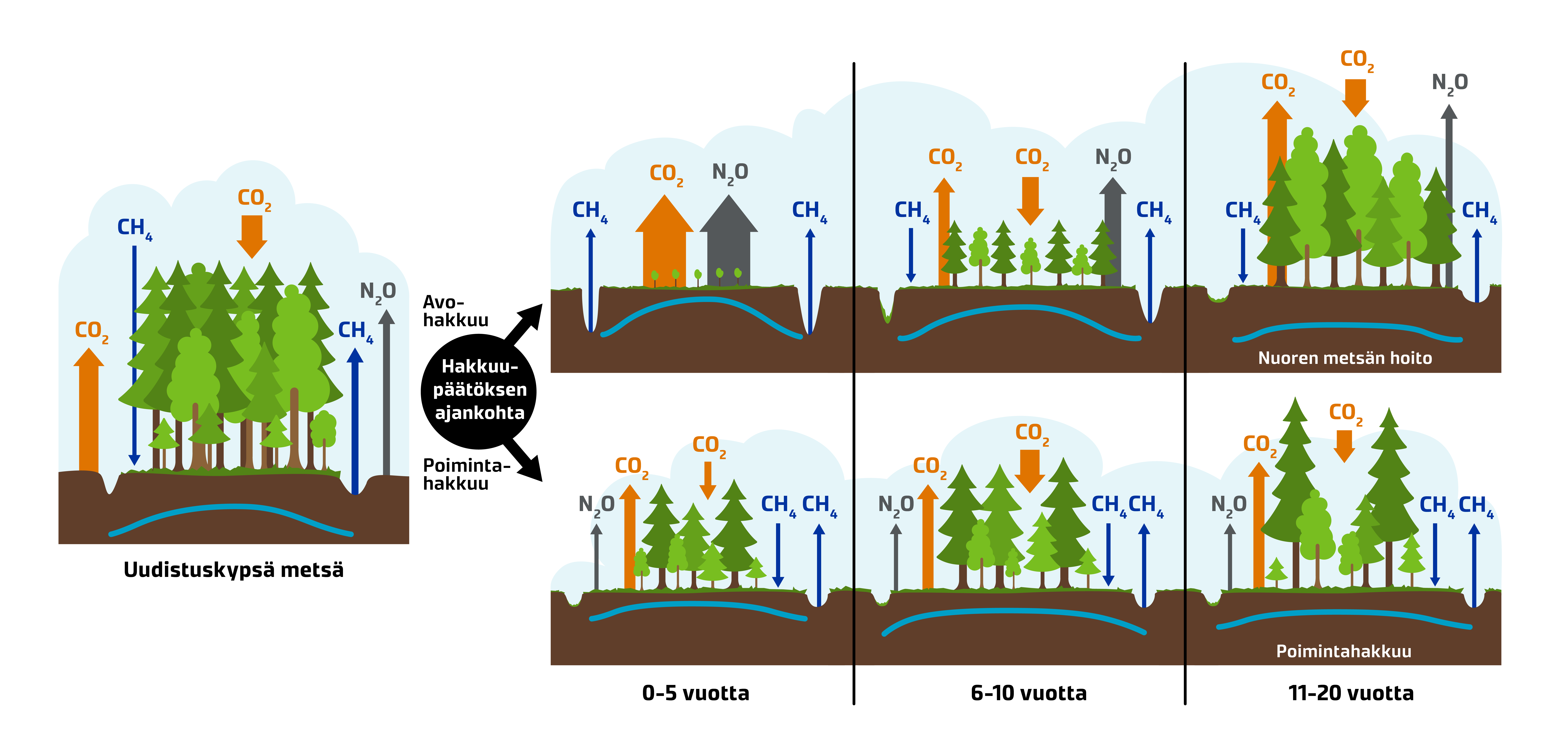 Hakkuutavan vaikutus kasvihuonekaasupäästöihin ja pohjaveden korkeuteen rehevissä ojitetuissa suometsissä. CH4 =metaani, CO2=hiilidioksidi, N2Ot=yppioksiduuli  (Piirros: Luke)  